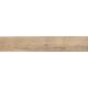Купить Керамогранит Azario Maple Olive Matt P231123214WM 20х120 (p231123214wm) по цене 2653 руб., в Санкт-Петебруге в интернет магазине 100-Систем, а также дургие товары Azario из раздела Керамогранит и Напольные покрытия