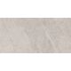 Купить Керамогранит Azario Fossil Grey Matt E4040821120M 60х120 см (e4040821120m) по цене 2520 руб., в Санкт-Петебруге в интернет магазине 100-Систем, а также дургие товары Azario из раздела Керамогранит и Напольные покрытия