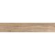 Купить Керамогранит Azario Maple Olive Matt P231123214WM 20х120 (p231123214wm) по цене 2653 руб., в Санкт-Петебруге в интернет магазине 100-Систем, а также дургие товары Azario из раздела Керамогранит и Напольные покрытия