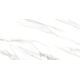 Купить Керамогранит Azario Venezia White Glossy F2010821120G 60х120 см (f2010821120g) по цене 2520 руб., в Санкт-Петебруге в интернет магазине 100-Систем, а также дургие товары Azario из раздела Керамогранит и Напольные покрытия