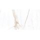 Купить Керамогранит Azario Bianca White Glossy F3010821120G 60х120 см (f3010821120g) по цене 2520 руб., в Санкт-Петебруге в интернет магазине 100-Систем, а также дургие товары Azario из раздела Керамогранит и Напольные покрытия
