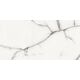 Купить Керамогранит Azario Onyx Grey Glossy P3211112138G 60х120 (p3211112138g) по цене 2520 руб., в Санкт-Петебруге в интернет магазине 100-Систем, а также дургие товары Azario из раздела Керамогранит и Напольные покрытия