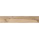 Купить Керамогранит Azario Maple Olive Matt P231123214WM 20х120 (p231123214wm) по цене 2653 руб., в Санкт-Петебруге в интернет магазине 100-Систем, а также дургие товары Azario из раздела Керамогранит и Напольные покрытия