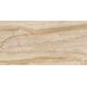 Купить Керамогранит Azario Sand Gold Glossy F2080821120G 60х120 см  (f2080821120g) по цене 1710 руб., в Санкт-Петебруге в интернет магазине 100-Систем, а также дургие товары Azario из раздела Керамогранит и Напольные покрытия