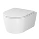 Купить C8F1700SC Func подвесной унитаз 49 см FlashClean с сиденьем микролифт (c8f1700sc) по цене 22990 руб., в Санкт-Петебруге в интернет магазине 100-Систем, а также дургие товары AM.PM из раздела Унитазы подвесные и Унитазы