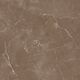 Купить Керамогранит Azario Essens Choco High Glossy E112082160HG 60х60 см (e112082160hg) по цене 1246 руб., в Санкт-Петебруге в интернет магазине 100-Систем, а также дургие товары Azario из раздела Керамогранит и Напольные покрытия