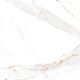 Купить Керамогранит Azario Afion Gold Glossy E104082160G 60х60 см (e104082160g) по цене 1799 руб., в Санкт-Петебруге в интернет магазине 100-Систем, а также дургие товары Azario из раздела Керамогранит и Напольные покрытия