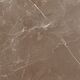 Купить Керамогранит Azario Essens Choco High Glossy E112082160HG 60х60 см (e112082160hg) по цене 1246 руб., в Санкт-Петебруге в интернет магазине 100-Систем, а также дургие товары Azario из раздела Керамогранит и Напольные покрытия