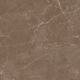 Купить Керамогранит Azario Essens Choco High Glossy E112082160HG 60х60 см (e112082160hg) по цене 1246 руб., в Санкт-Петебруге в интернет магазине 100-Систем, а также дургие товары Azario из раздела Керамогранит и Напольные покрытия