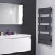 Купить Электрический полотенцесушитель Atlantic ADELIS ANT 750W (002241) по цене 28490 руб., в Санкт-Петебруге в интернет магазине 100-Систем, а также дургие товары  из раздела Электрические полотенцесушители и Полотенцесушители
