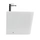Купить Биде напольное BelBagno ALBANO BB120B (bb120b) по цене 19120 руб., в Санкт-Петебруге в интернет магазине 100-Систем, а также дургие товары BelBagno из раздела Биде приставные и Биде и писсуары