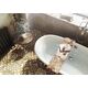 Купить Ванна Roca Newcast черная, anti-slip 170x85 233650002 (233650002) по цене 232586.77 руб., в Санкт-Петебруге в интернет магазине 100-Систем, а также дургие товары ROCA из раздела Чугунные ванны и Ванны