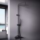 Купить 936710300 Scandinavian Pure душевая система с душевым смесителем, чёрный, шт (936710300) по цене 39490 руб., в Санкт-Петебруге в интернет магазине 100-Систем, а также дургие товары DAMIXA из раздела Душевые стойки и Душевые стойки, системы, панели, гарнитуры
