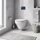 Купить Комплект унитаза с инсталляцией AM.PM Inspire FlashClean IS450A38.501700 с сиденьем Микролифт и клавишей смыва Черный (is450a38.501700) по цене 81790 руб., в Санкт-Петебруге в интернет магазине 100-Систем, а также дургие товары AM.PM из раздела Готовые решения и Инсталляции