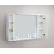 Купить Зеркало-шкаф 120 см BelBagno MARINO-SPC-1200/750-2A-BL-P (marino-spc-1200/750-2a-bl-p) по цене 25400 руб., в Санкт-Петебруге в интернет магазине 100-Систем, а также дургие товары BelBagno из раздела Зеркальные шкафы для ванной и Мебель для ванной комнаты