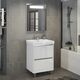 Купить COMFORTY. Тумба-умывальник "Дублин-60" белый глянец с раковиной COMFORTY 8056 (00004137134) по цене 46530 руб., в Санкт-Петебруге в интернет магазине 100-Систем, а также дургие товары COMFORTY из раздела Тумбы с умывальником и Мебель для ванной комнаты