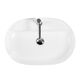 Купить Накладная раковина BelBagno BB1346 (BB1346) по цене 11700 руб., в Санкт-Петебруге в интернет магазине 100-Систем, а также дургие товары BelBagno из раздела Накладные раковины и Раковины и пьедесталы