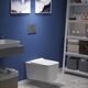 Купить Унитаз BERGES подвесной FLOE 55 см, сиденье дюропласт Floe Slim SO, микролифт, быстросьем (082121) по цене 24990 руб., в Санкт-Петебруге в интернет магазине 100-Систем, а также дургие товары BERGES из раздела Унитазы подвесные и Унитазы