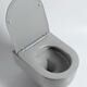 Купить Унитаз подвесной Evo VT1-34SMG безободковый, цвет серый матовый, ультратонкое soft-close сиденье, , шт (vt1-34smg) по цене 21223 руб., в Санкт-Петебруге в интернет магазине 100-Систем, а также дургие товары Vincea из раздела Унитазы подвесные и Унитазы
