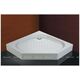 Купить Поддон для душа Cezares Tray 100 см пятиугольный акриловый (tray-a-p-100-15-w) по цене 23700 руб., в Санкт-Петебруге в интернет магазине 100-Систем, а также дургие товары CEZARES из раздела Нестандартные и Душевые поддоны
