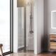Купить Душевая дверь 80x190 AM.PM Sunny W87G-80-1P-MT прозрачное стекло, профиль серебристый (w87g-80-1p-mt) по цене 17490 руб., в Санкт-Петебруге в интернет магазине 100-Систем, а также дургие товары AM.PM из раздела Душевые двери и Душевые двери, перегородки